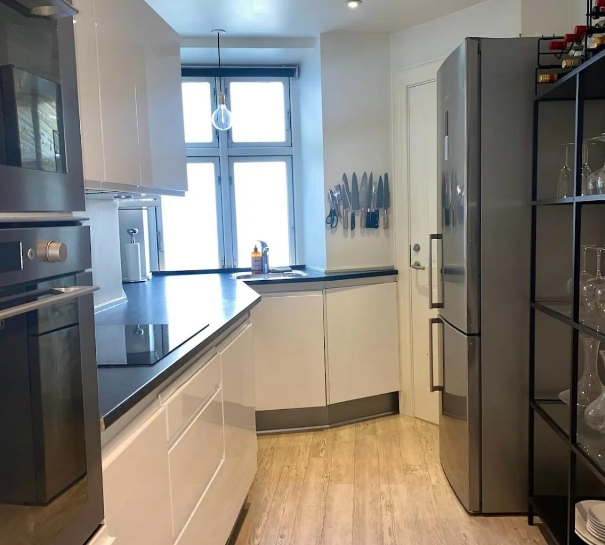 90M2 Luxury Flat In Central Copenhagen 0*,